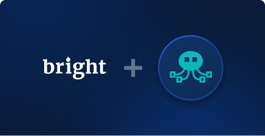 StablerSOLO integration with Bright Data